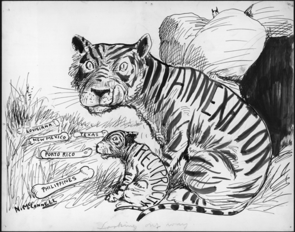 A tiger and her cub look to their next meal