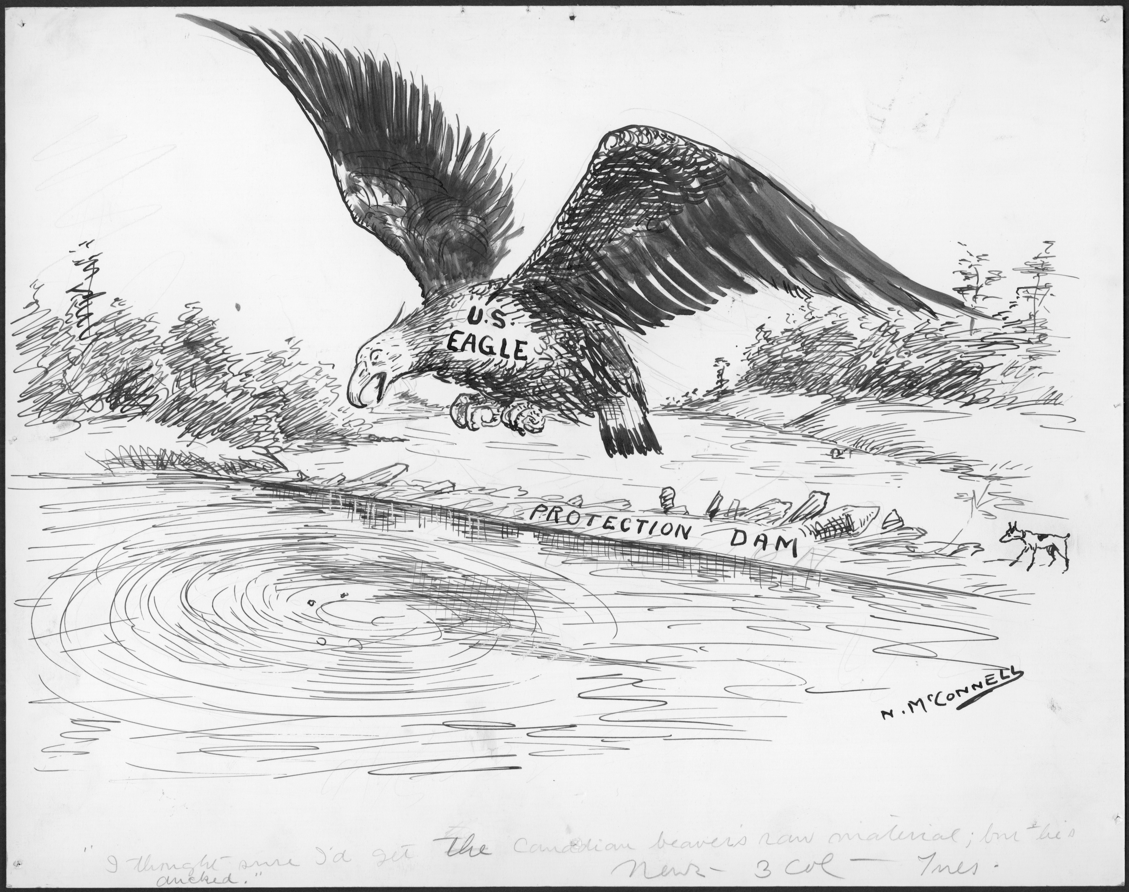 An eagle hunts for a beaver Soaring above a beaver pond, shored up by a beaver “PROTECTION DAM,” a “U.S. EAGLE” looks for the beaver it was hunting, wings outstretched, with a look of astonishment on its face. Below in the water, ripples on the pond suggest something has dove below the surface.