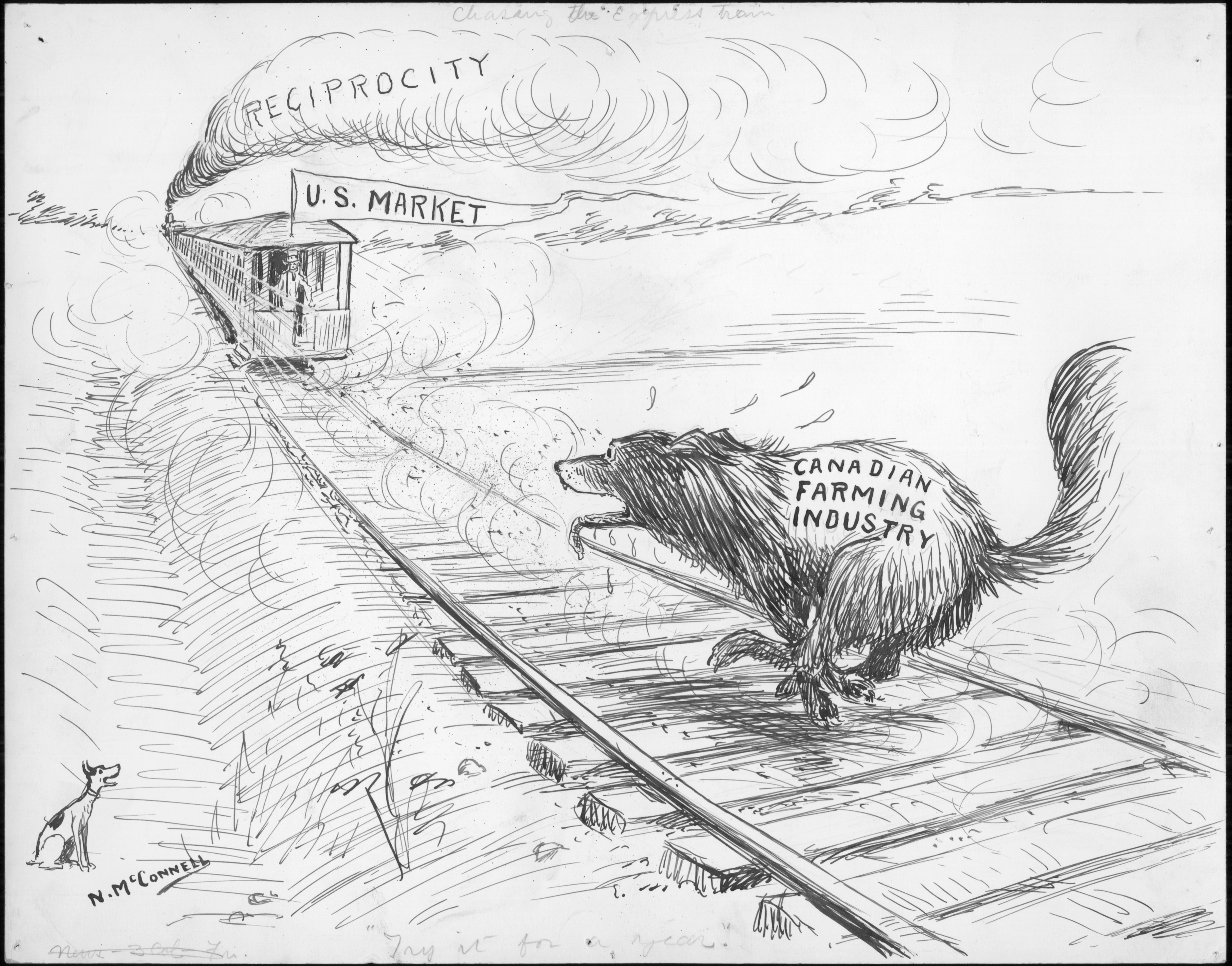 Drawing of a train being chased by a beaver. In the top left half of the cartoon there is a train that is receding into the distance. The word “RECIPROCITY” is written into the smoke from the locomotive. A banner with the words “U.S. MARKET” is being waived by an indistinct figure at the back of the train. The train rails run diagonally towards the bottom right of the drawing and off page. A beaver is running on the rails on the bottom right part of the cartoon. The beaver’s mouth is agape and sweat drops are visible around the beaver’s head. On the bottom left, a small do is watching the scene. The caption written in cursive at the bottom of the cartoon reads ““TRY IT FOR A YEAR.” NEWTON MCCONNELL. CIRCA 1911.”