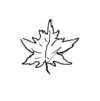 Maple leaf is originally a symbol of French Canada, became one for English Canada in the 19th century
